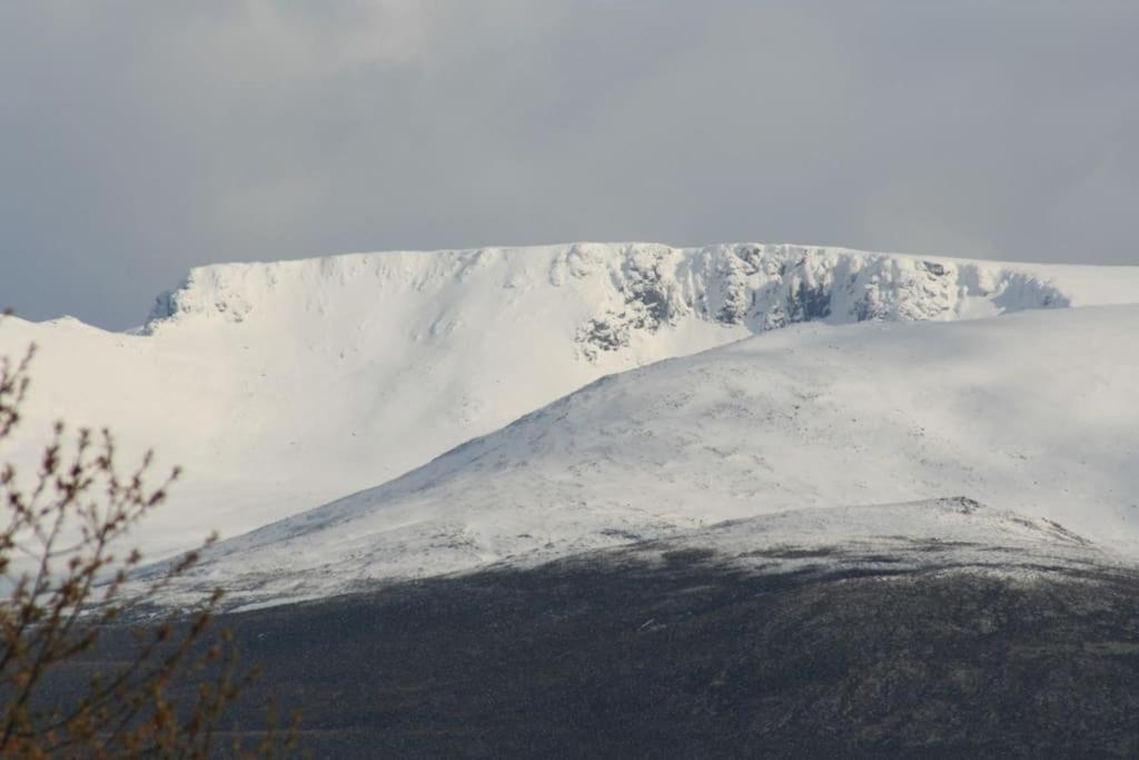 Aviemore Cottage - Cairngorms National Park Dış mekan fotoğraf